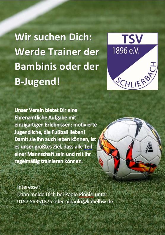 Flyer Trainersuche
